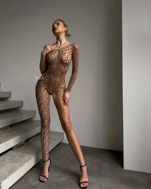 FELINE